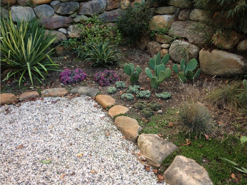 Sunken garden with native stone edging, succulents, and drought-tolerant plantings.