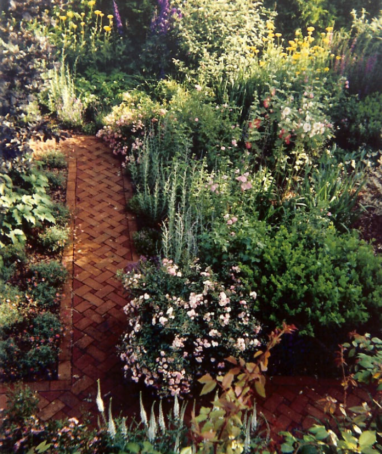 Colorful perennial border with mixed flowering shrubs in the Maria Garden.
